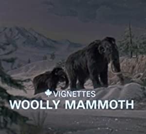 Canada Vignettes: Woolly Mammoth