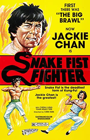 Snake Fist Fighter